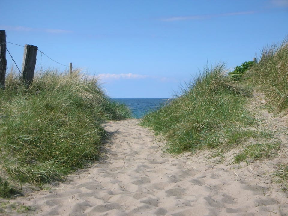 Einer der vielen Wege zum Strand Ferienwohnungen Ferienpark Weissenhäuser Strand