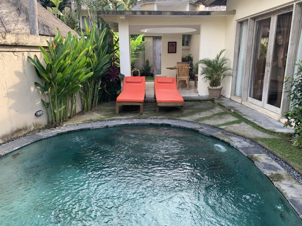 Pool Atta Mesari Ubud