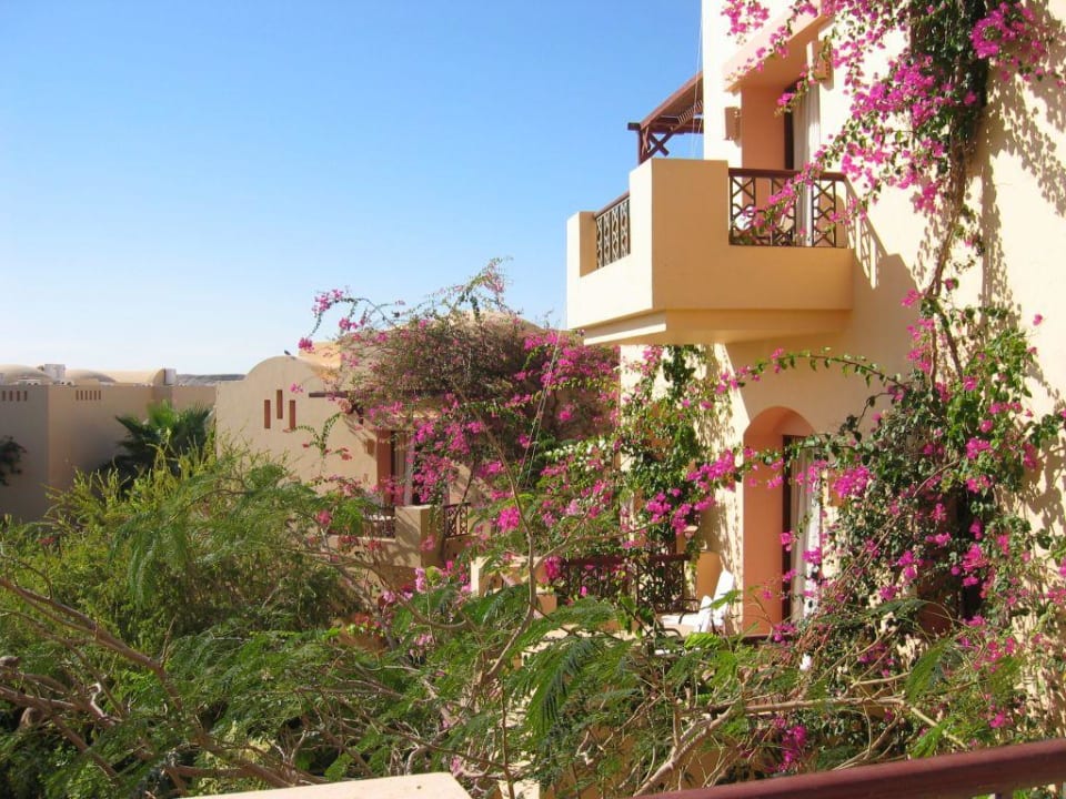 Ausblick Zimmer 1212 Steigenberger Coraya Beach - Adults only