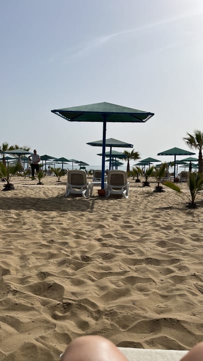 Strand Paloma Oceana