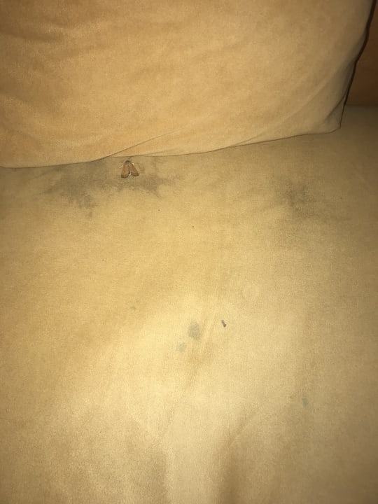 Lobby Royal Park Hotel & Aqua park