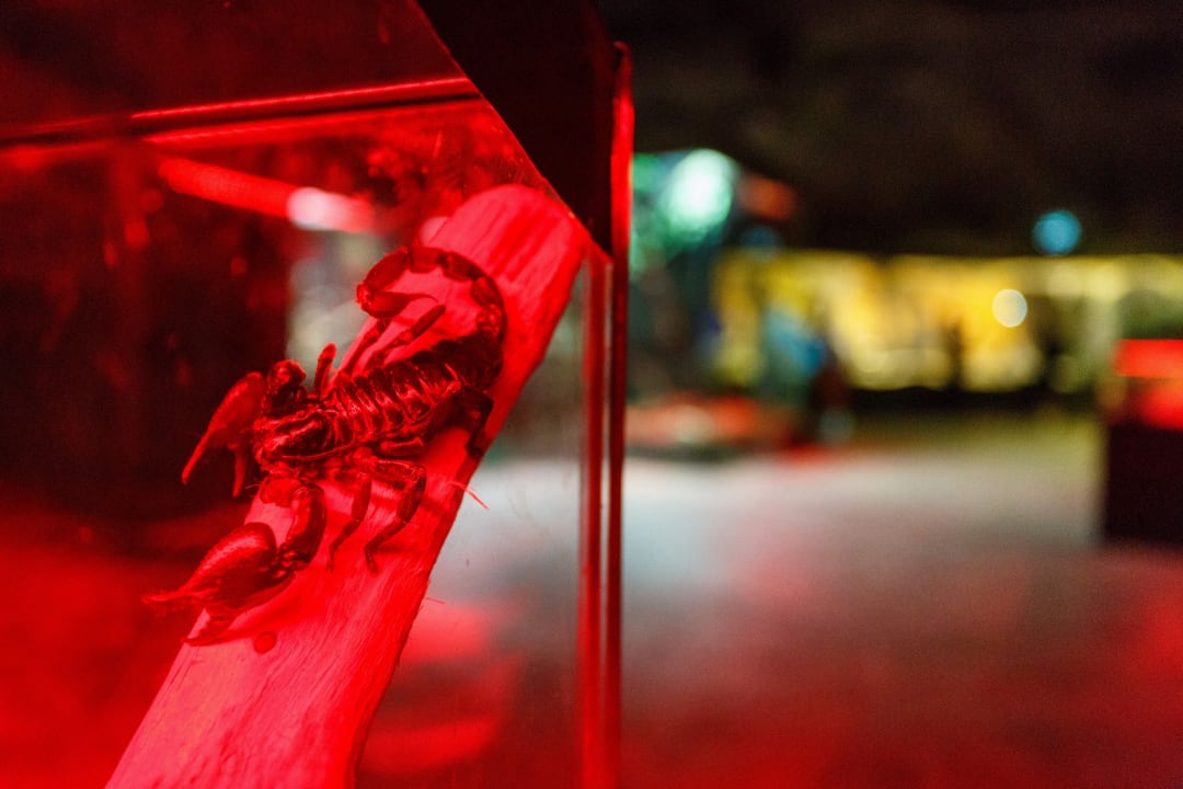 Sonstiges Isfanbul Holiday Home & Suites