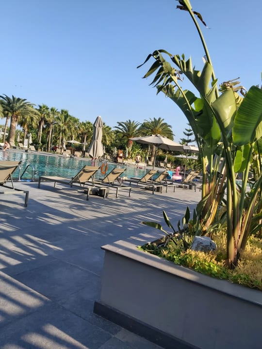 Pool Hotel Miramare Beach