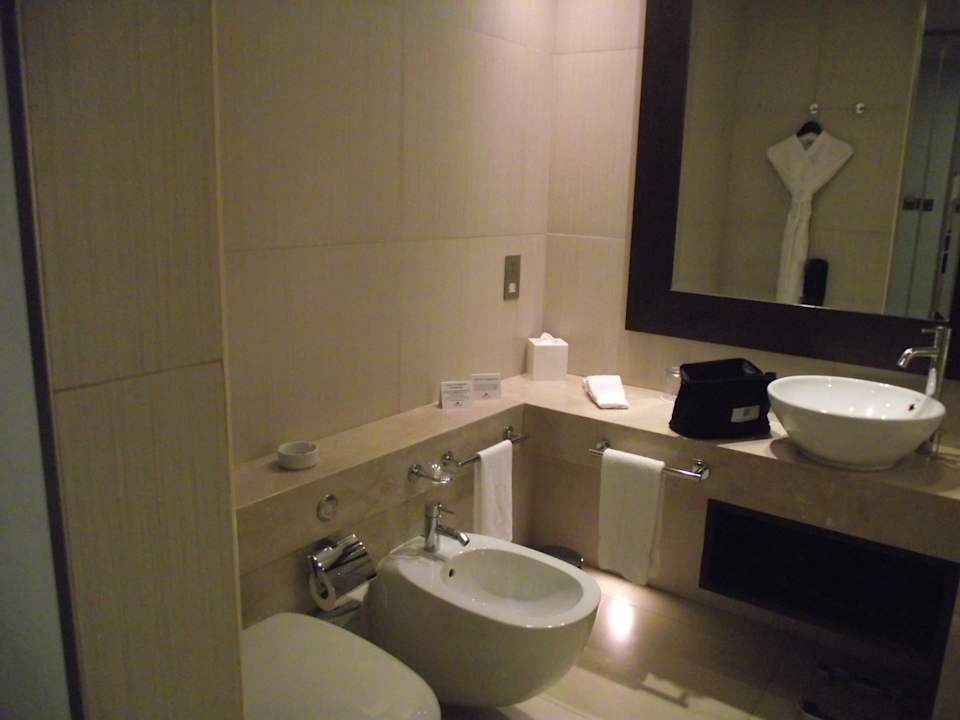 Sauberes und modernes Bad Crowne Plaza Hotel Yas Island