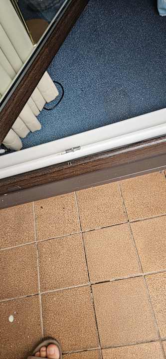 Außenansicht AHORN Berghotel Friedrichroda