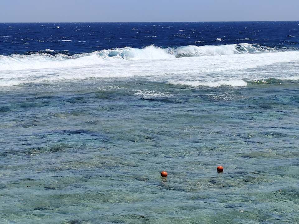 Strand Pickalbatros Sea World Resort - Marsa Alam