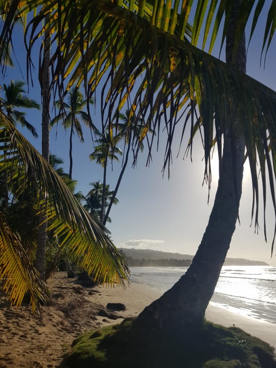 Strand Viva V Samana by Wyndham – Adults Only