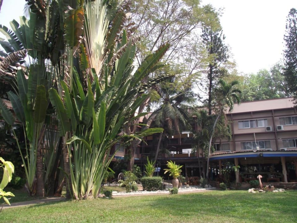 Blick zur Cocktailbar und rechts das Restaurant Basaya Beach Hotel & Resort