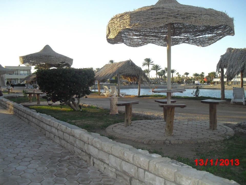 Территория Aladdin Beach Resort