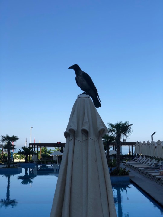 Pool Seaden Quality Resort & Spa