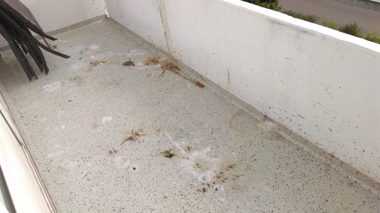 Zimmer Ferienwohnungen Ferienpark Weissenhäuser Strand