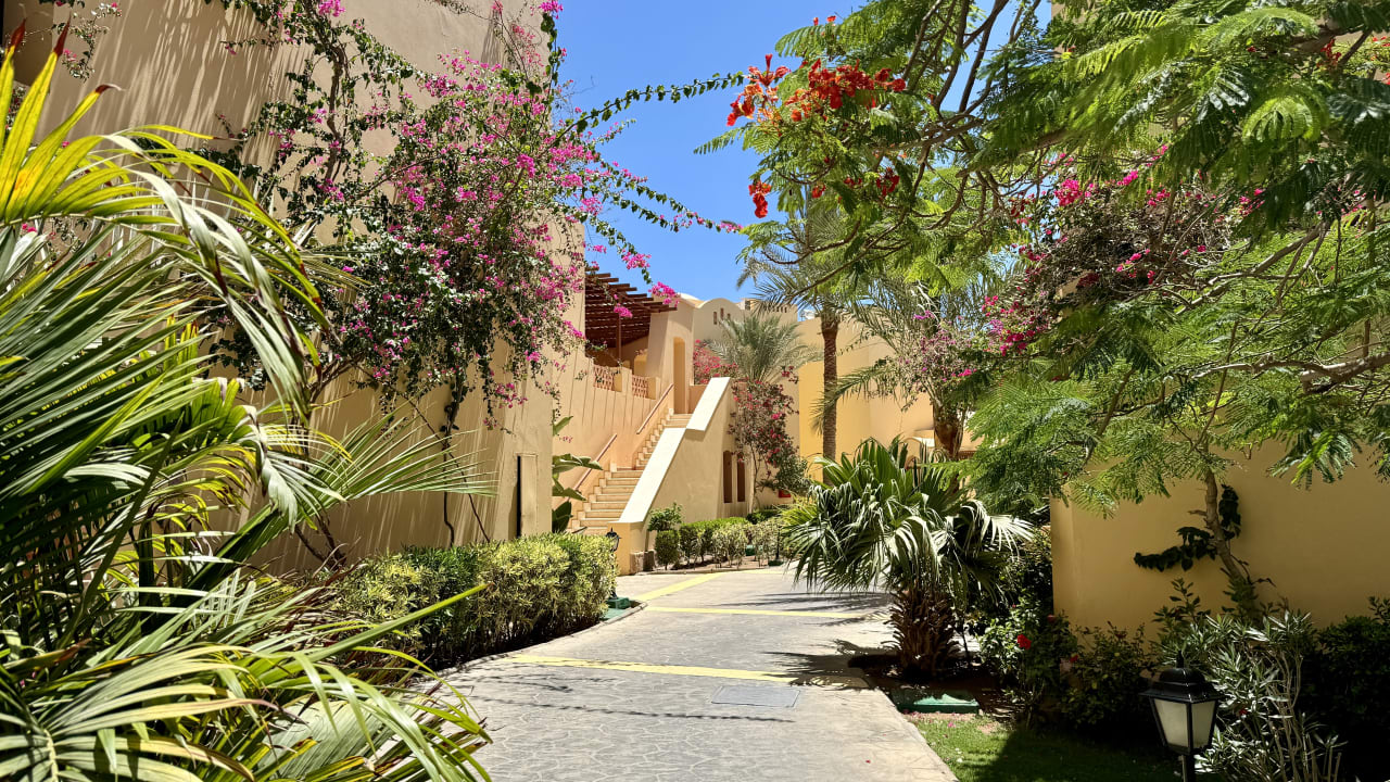 Außenansicht Steigenberger Coraya Beach - Adults only