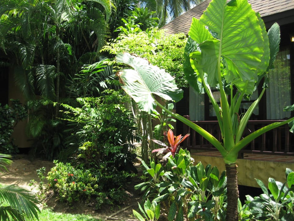 Strandbungalow direkt am Strand The Fair House Beach Resort
