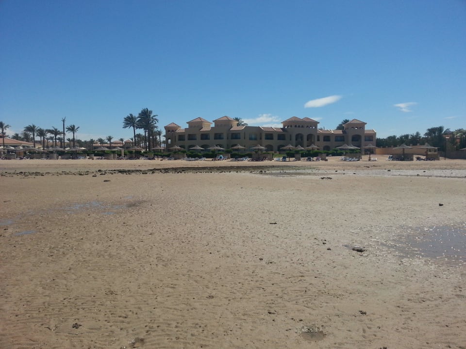 Unser Strand bei EBBE - Wo ist das Meer hin? Cleopatra Luxury Resort Makadi Bay