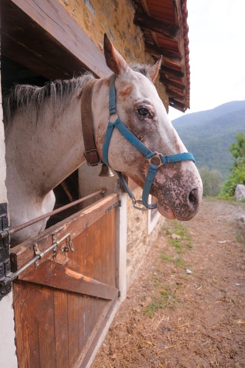 Außenansicht Il Nido Delle Rondini