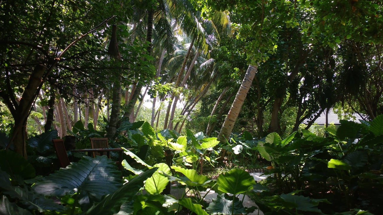 Zero Garden  Villa Park Sun Island