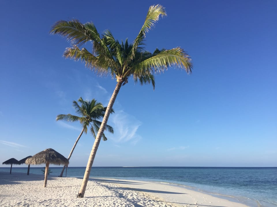 Strand Furaveri Maldives