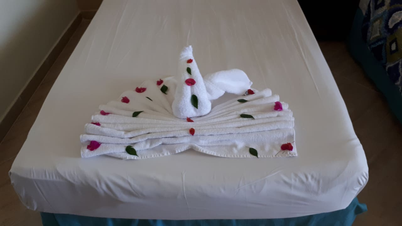 Zimmer Malikia Resort Abu Dabbab