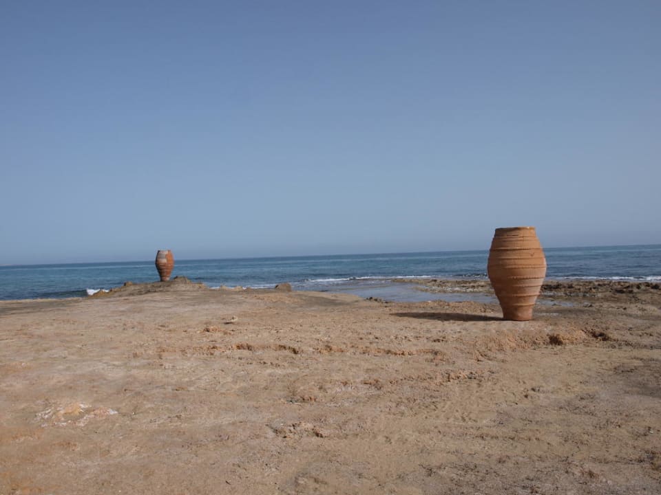 Plaża allsun Hotel Carolina Mare