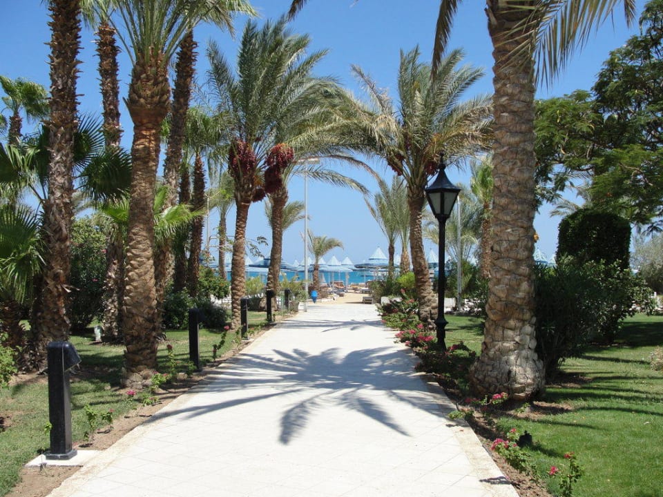 Gartenweg zum Strand/Meer The Grand Hotel Hurghada
