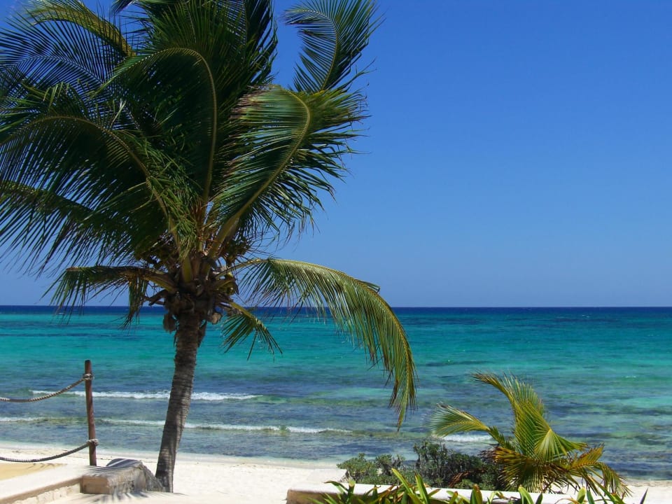 Bar-Blick Akumal Bay Beach & Wellness Resort