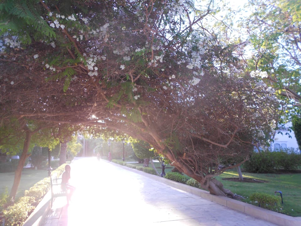 Anlage The Grand Hotel Hurghada