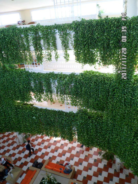 Alles grün im Tropenparadies Melia Las Antillas - Adults only