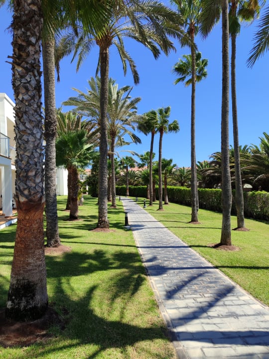 Gartenanlage Hotel Riu Palace Meloneras