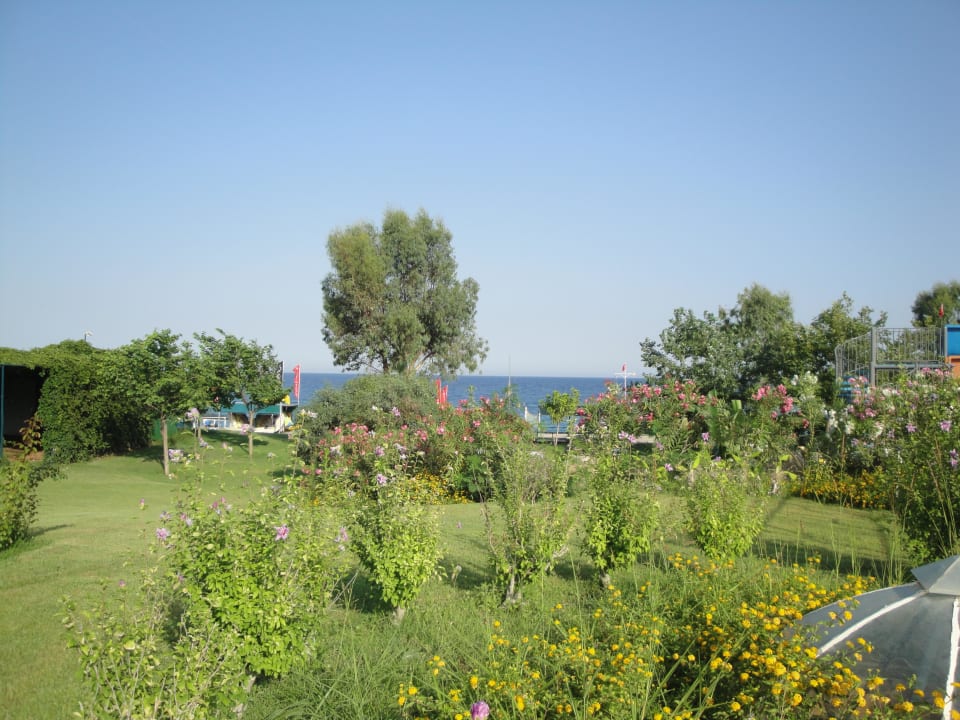 Garten des Le Jardin : passt 100% Le Jardin Resort