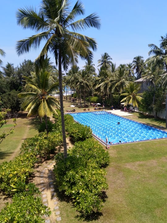 Pool Hotel Taprobana Wadduwa