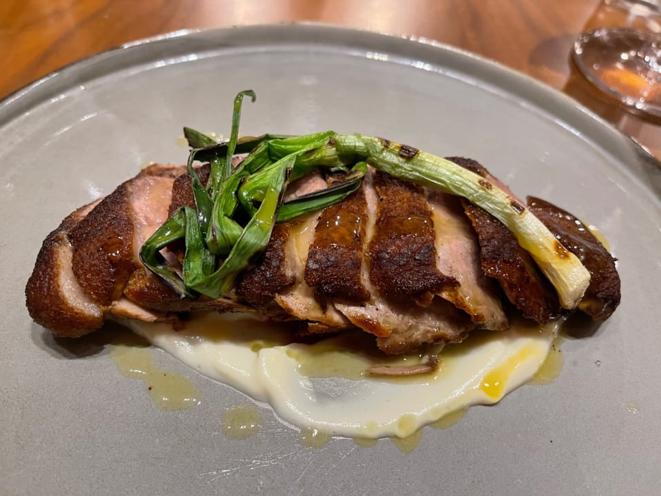 Gastro Acanthus Cennet Barut Collection