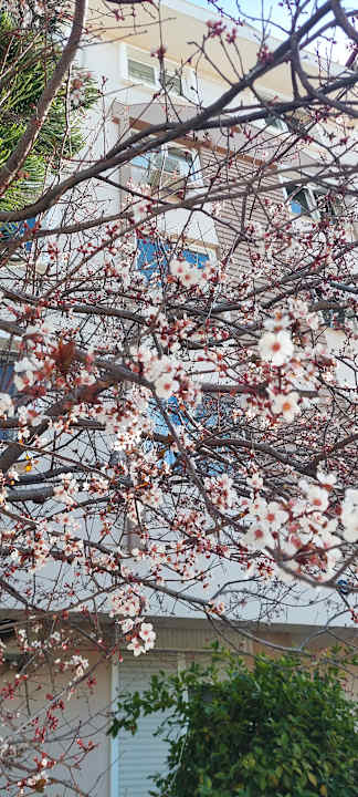 Gartenanlage Limak Limra Hotel & Resort