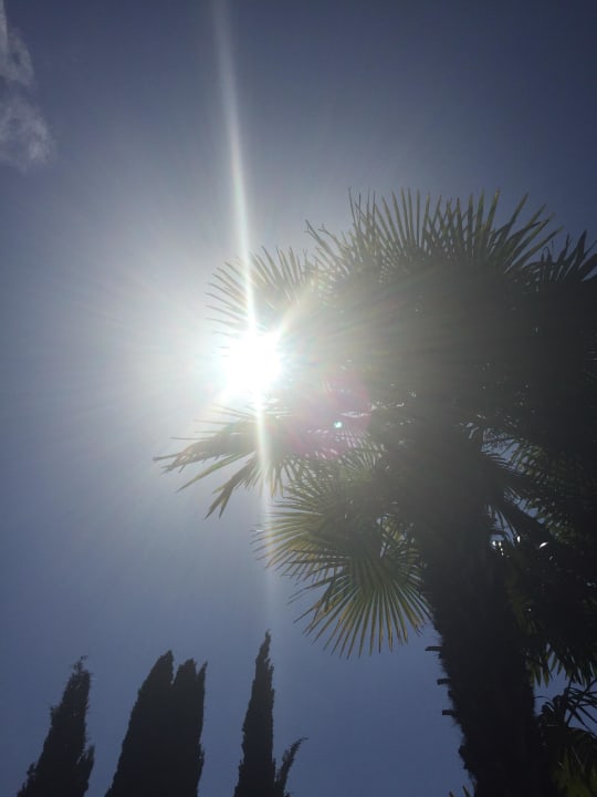 Sonne pur Hotel Majestic Palace