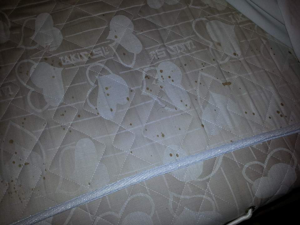 2 Bett ohne Schoner Pensée Royal Garden Beach Resort