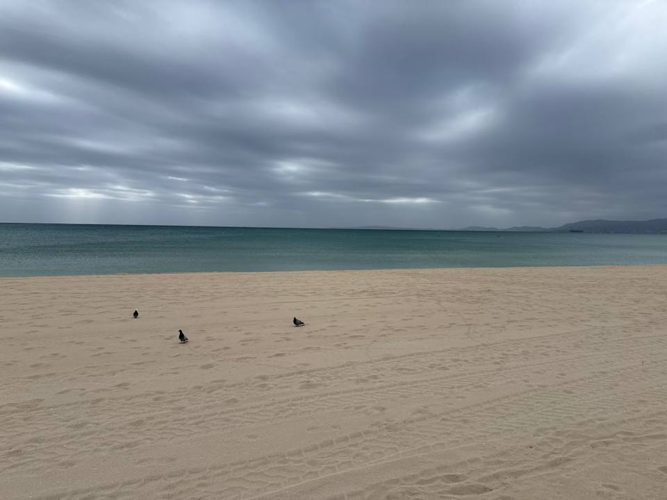 Strand Iberostar Waves Bahia de Palma