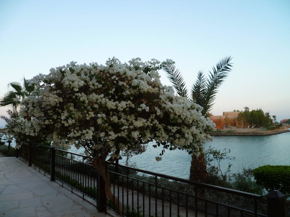 Hotelanlage Hotel Three Corners Ocean View prestige - Adults only