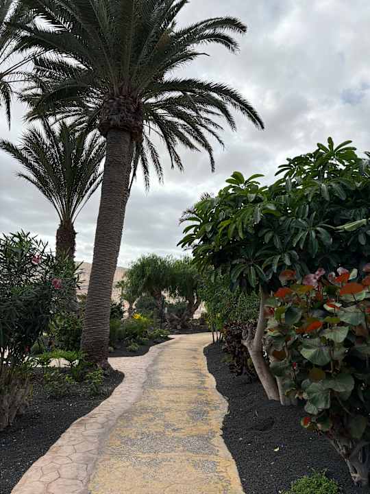 Gartenanlage Paradisus by Meliá Fuerteventura