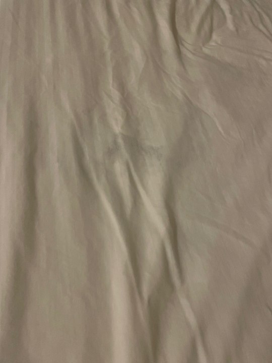 Zimmer The Hotel Limpia