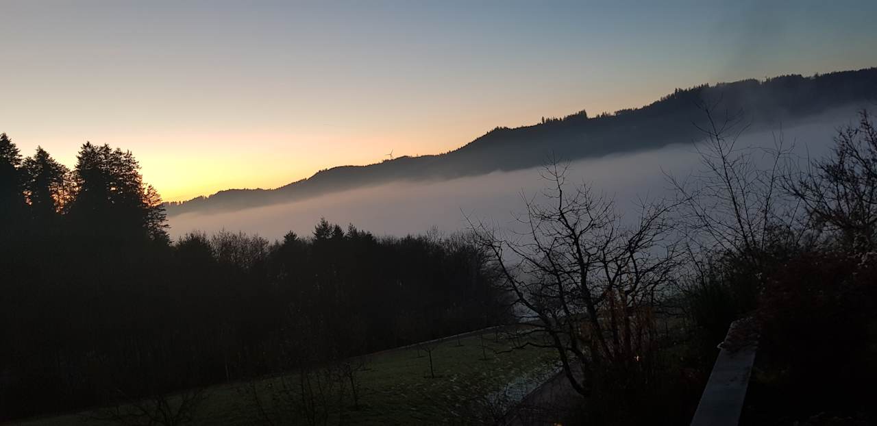 Ausblick Elztalhotel