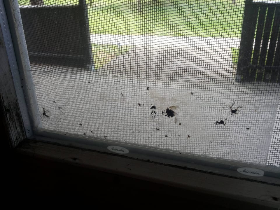 Fenster Kinderzimmer Ferienanlage Reiterhof Pilger