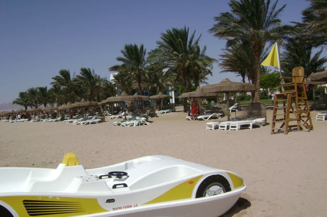 Blick vom Tretboot am Wasser auf Liegen Palm Royale Resort - Soma Bay