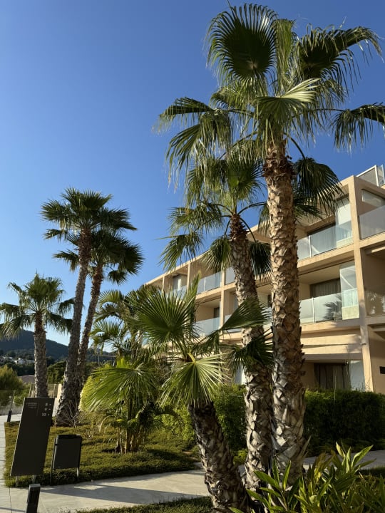 Gartenanlage Zafiro Palace Andratx