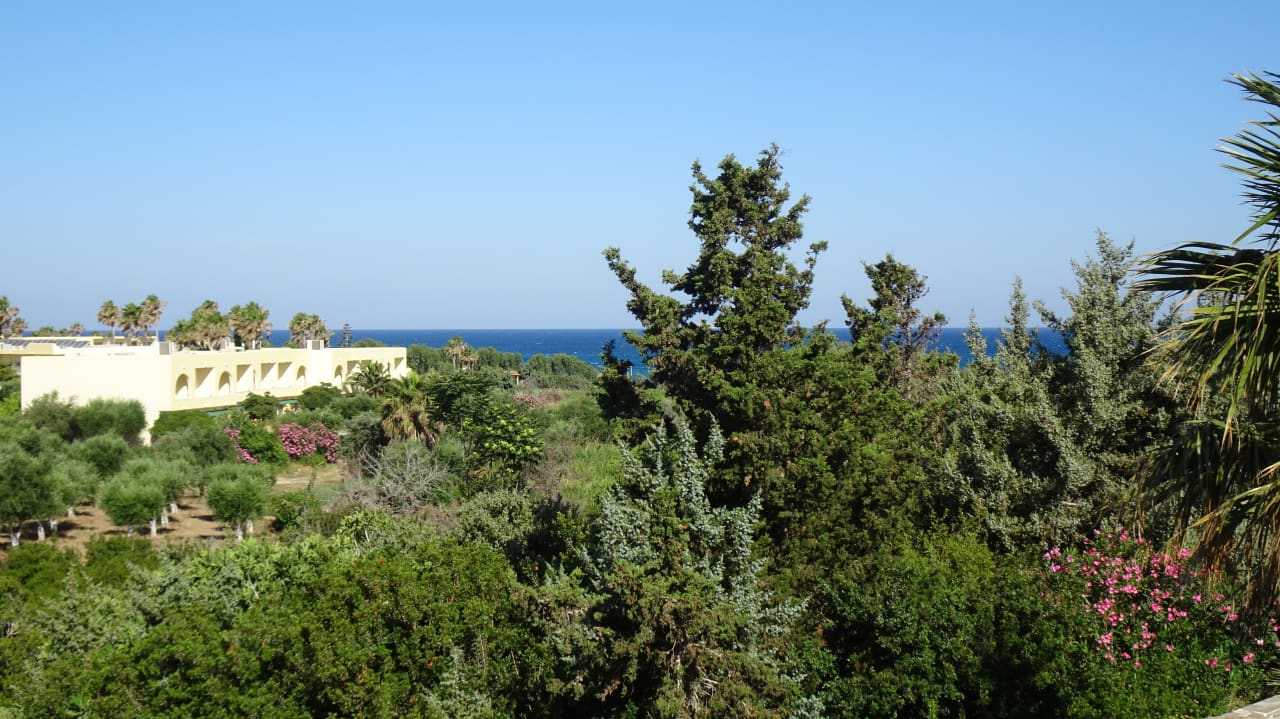 Ausblick Achilleas Beach Adults Only