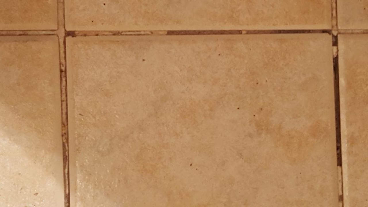 Zimmer Ghazala Gardens