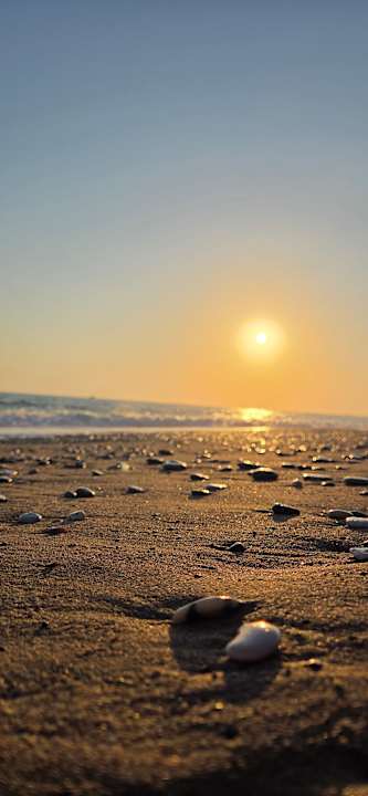Strand Calimera Serra Palace