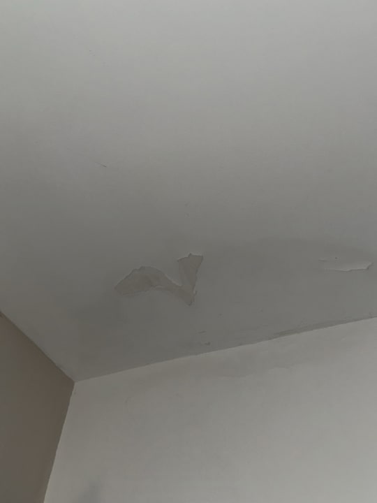 Zimmer Tropical Nights 3