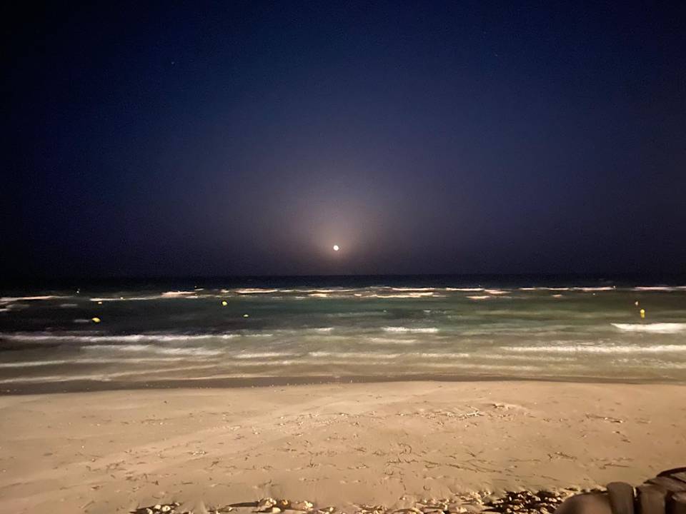 Ausblick ROBINSON DJERBA BAHIYA