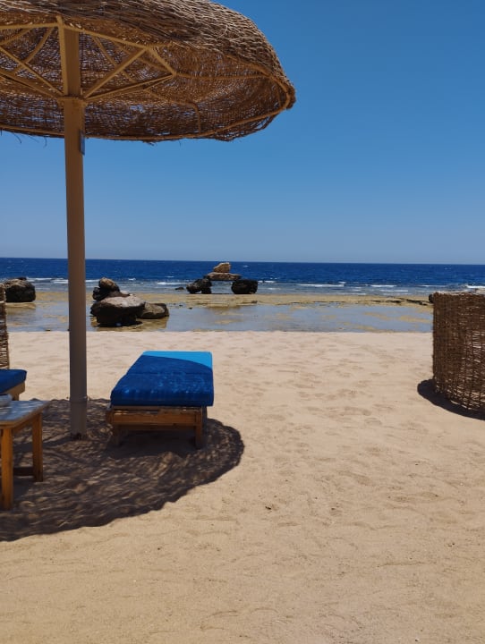 Strand Pickalbatros Citadel Resort