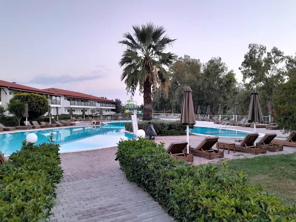 Pool Alexandros Palace