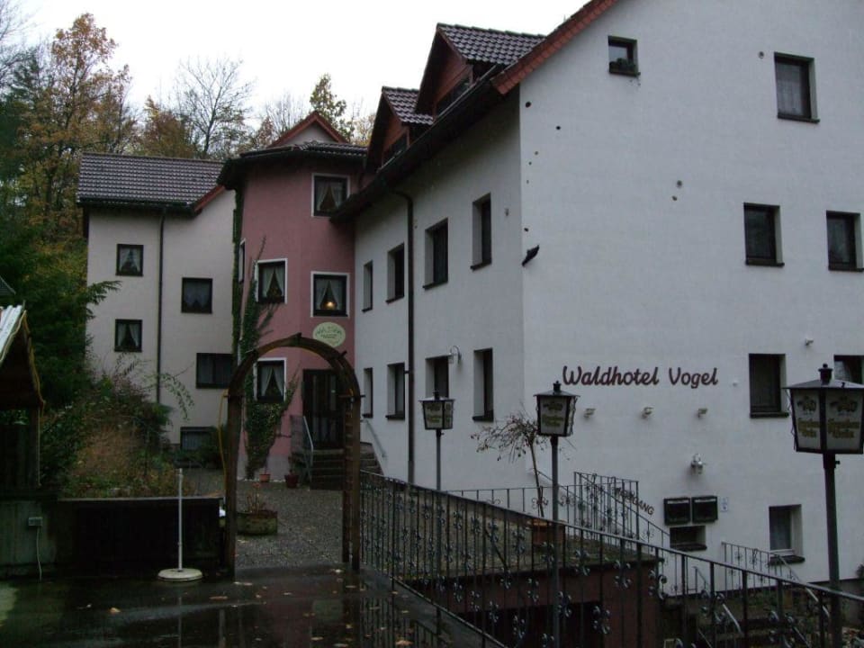 Wald- und Eingangsseite Waldhotel Pension Vogel